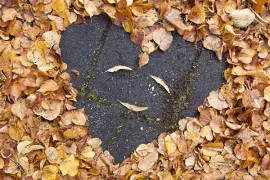 Najaar: prima plantseizoen