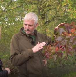 Waar komt die herfstkleur toch vandaan? (Video)