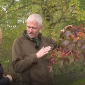 Waar komt die herfstkleur toch vandaan? (Video)