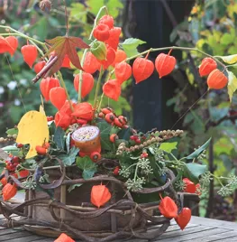 Herfstmand met lampionnetjes