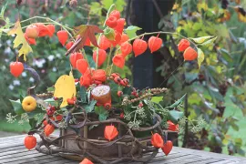 Herfstmand met lampionnetjes