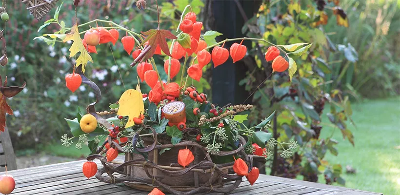 Herfstmand met lampionnetjes