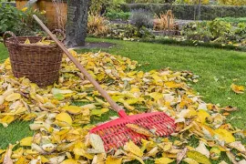 Gras maaien en herstellen