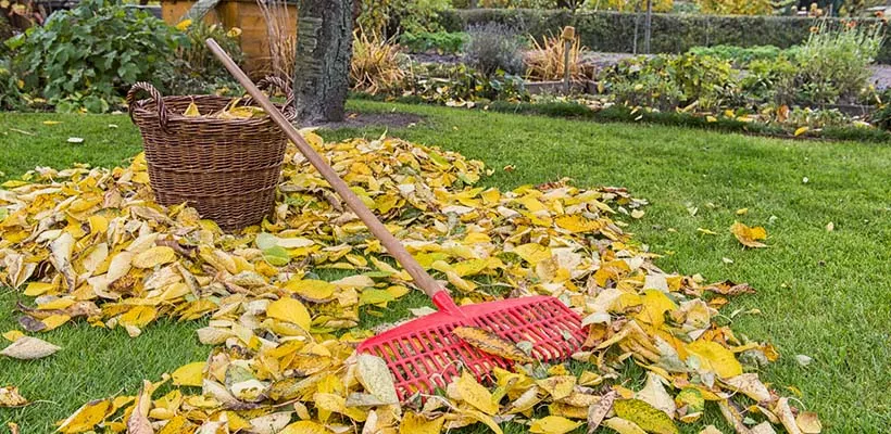 Gras maaien en herstellen