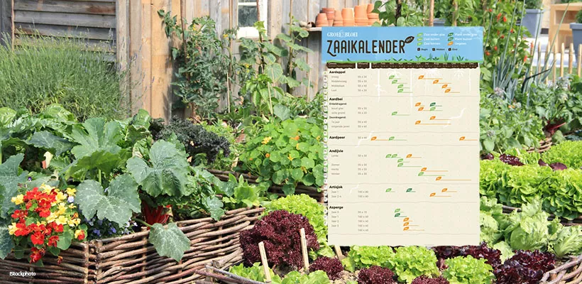 Download gratis zaaikalender