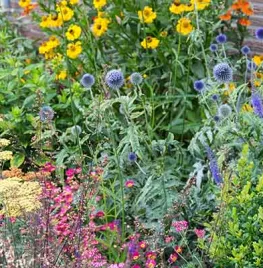 Winnaars border-ontwerpwedstrijd