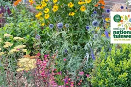 Winnaars border-ontwerpwedstrijd