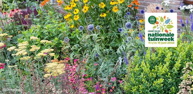 Winnaars border-ontwerpwedstrijd