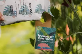 Natuurlijke vijanden tegen ziektes en plagen