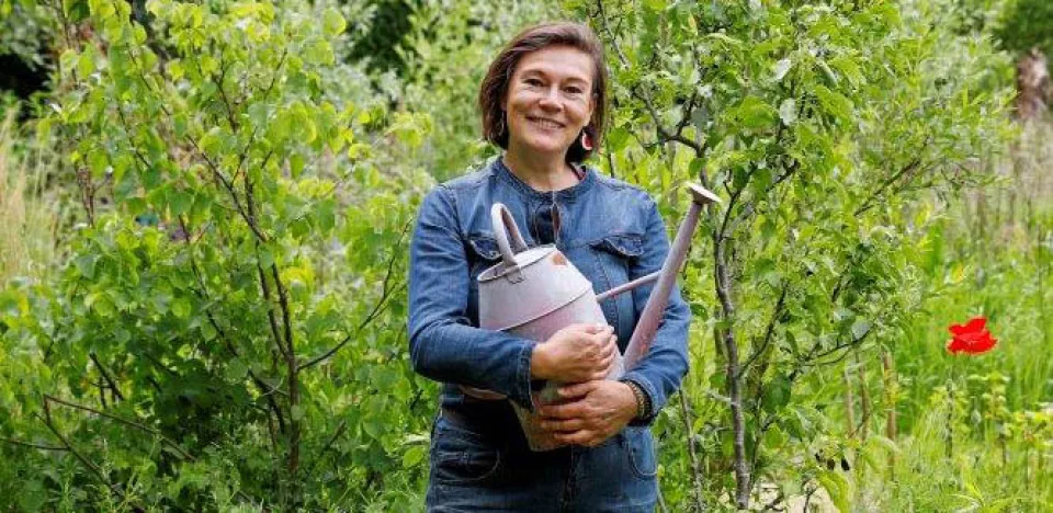 Afbeelding Een hemelwatertuin: zo maak je je tuin klaar voor hoosbuien én droogte