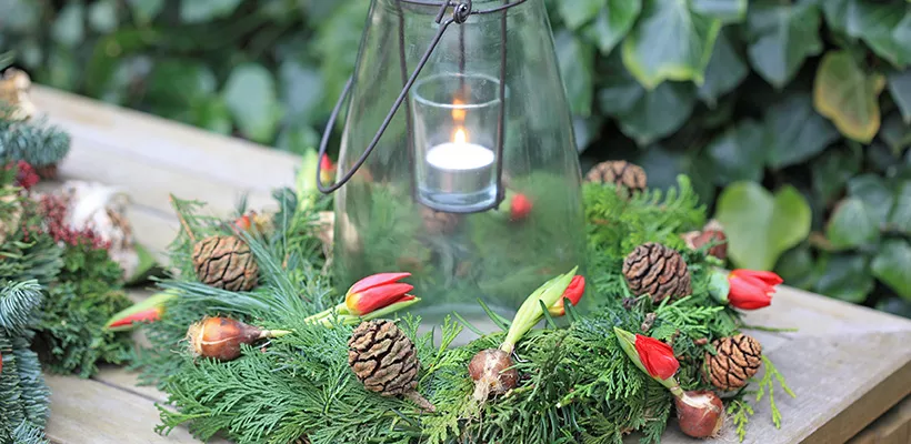 Tulpenkrans voor kerst