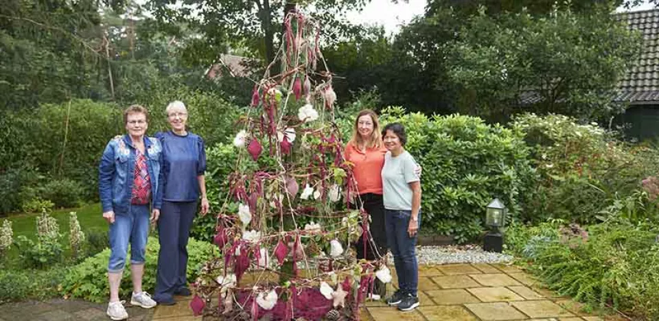 Afbeelding Alternatieve kerstboom 2: samen voor een natuurlijke boom
