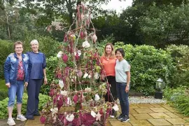 Alternatieve kerstboom 2: samen voor een natuurlijke boom