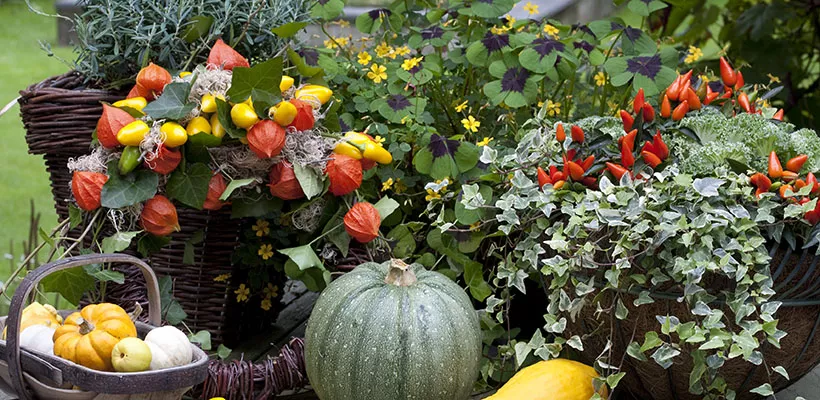Kleurige herfstkrans voor de tuintafel