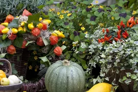 Kleurige herfstkrans voor de tuintafel