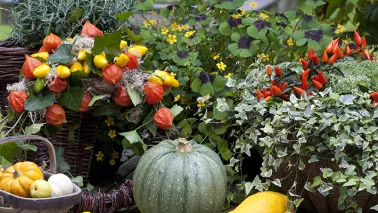Kleurige herfstkrans voor de tuintafel