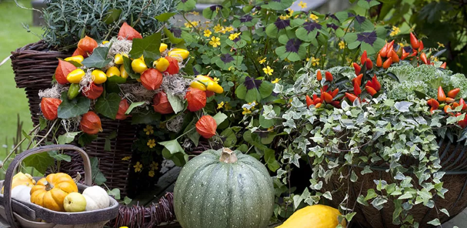 Afbeelding Kleurige herfstkrans voor de tuintafel
