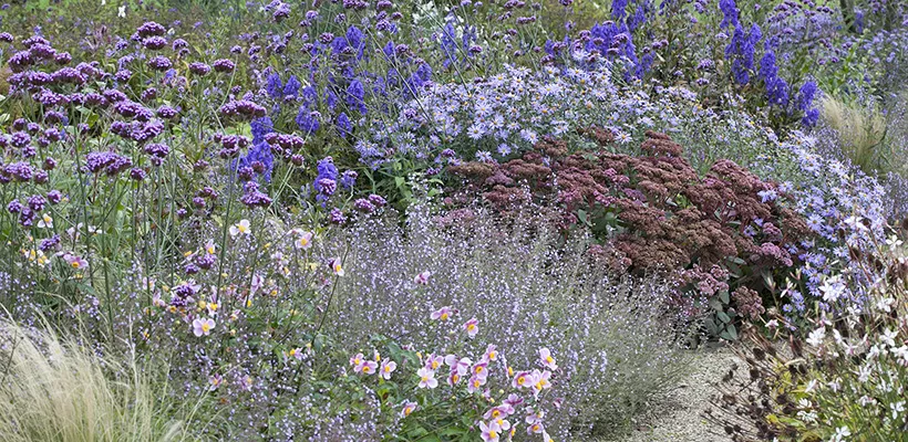 Beplantingsplan voor kleur in oktober