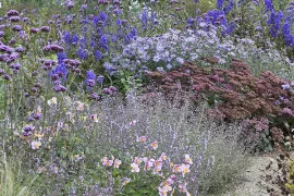 Beplantingsplan voor kleur in oktober