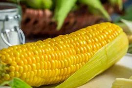 Zaad bestellen van Zea mays Early Xtra Sweet