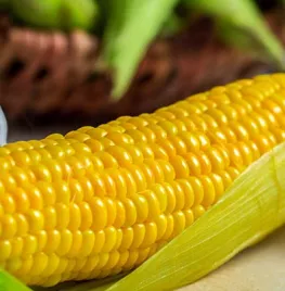 Zaad bestellen van Zea mays Early Xtra Sweet