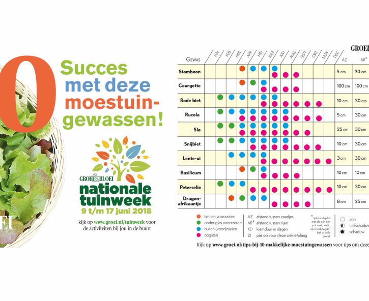 Tips bij 10 makkelijke moestuingewassen