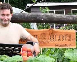 De moestuin in juli: oogsten, verzorgen en vooruitdenken