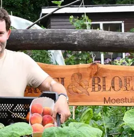 De moestuin in juli: oogsten, verzorgen en vooruitdenken
