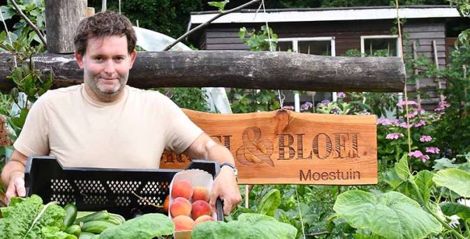 De moestuin in juli: oogsten, verzorgen en vooruitdenken