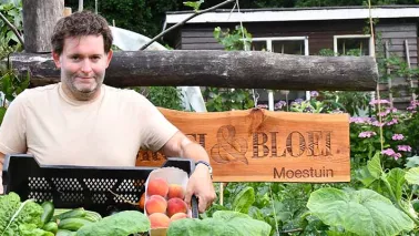 De moestuin in juli: oogsten, verzorgen en vooruitdenken