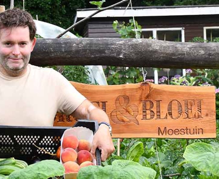De moestuin in juli: oogsten, verzorgen en vooruitdenken