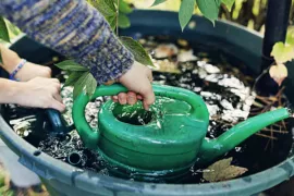 Voorkom muggenoverlast