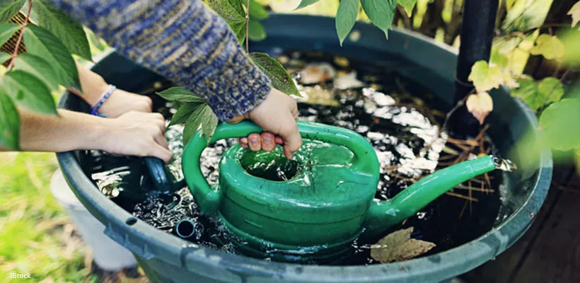 Voorkom muggenoverlast