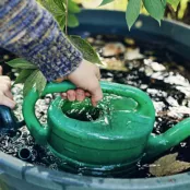 Voorkom muggenoverlast