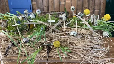 Verrassend nest op tafel (video)