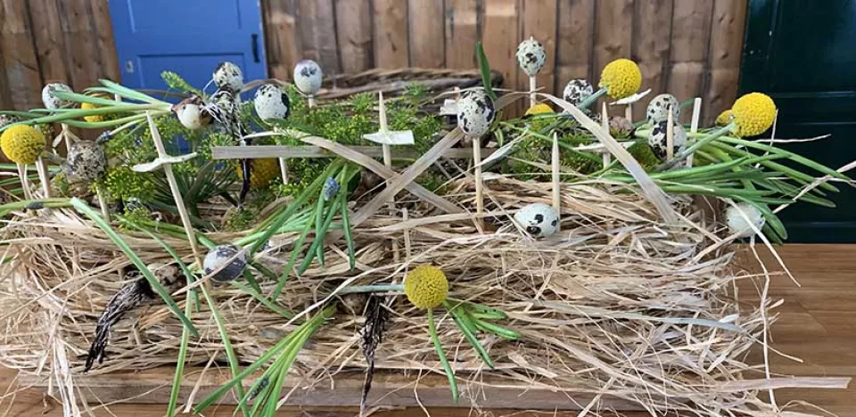 Afbeelding Verrassend nest op tafel (video)