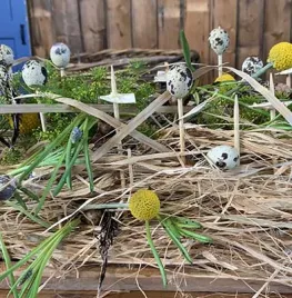 Verrassend nest op tafel (video)