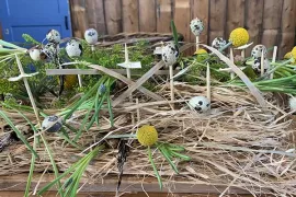 Verrassend nest op tafel (video)