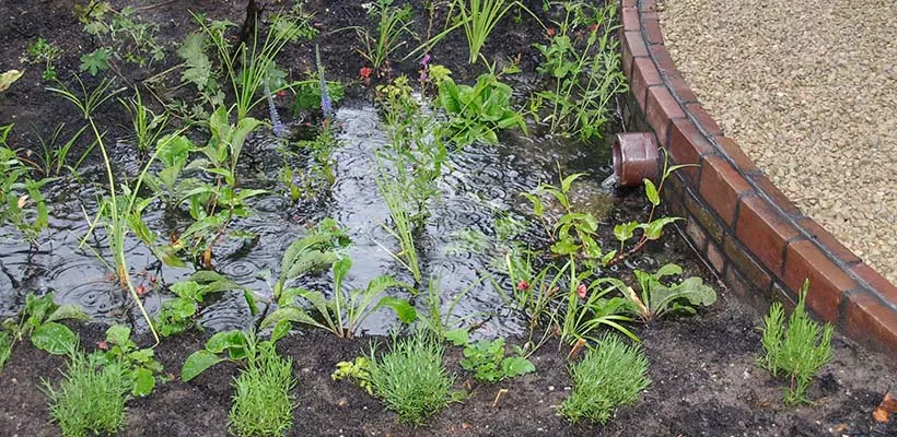 Regenbestendige tuin
