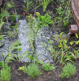 Regenbestendige tuin