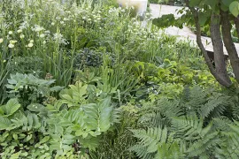 Groen mozaïek: beplantingsplan voor schaduw