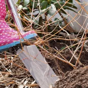 Nieuwe plek voor je struik