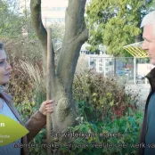 Wat doe je wel en niet in de herfsttuin? (video)