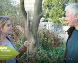 Wat doe je wel en niet in de herfsttuin? (video)