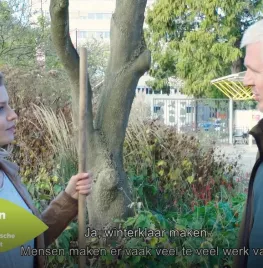 Wat doe je wel en niet in de herfsttuin? (video)