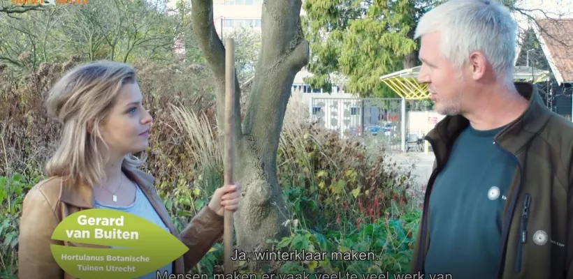 Wat doe je wel en niet in de herfsttuin? (video)