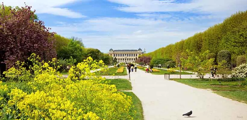 Afbeelding Ga mee op tuinenreis!