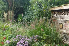 Groei & Bloei wedstrijd: De beste levende tuin 2025