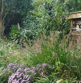 Groei & Bloei wedstrijd De beste levende tuin 2025