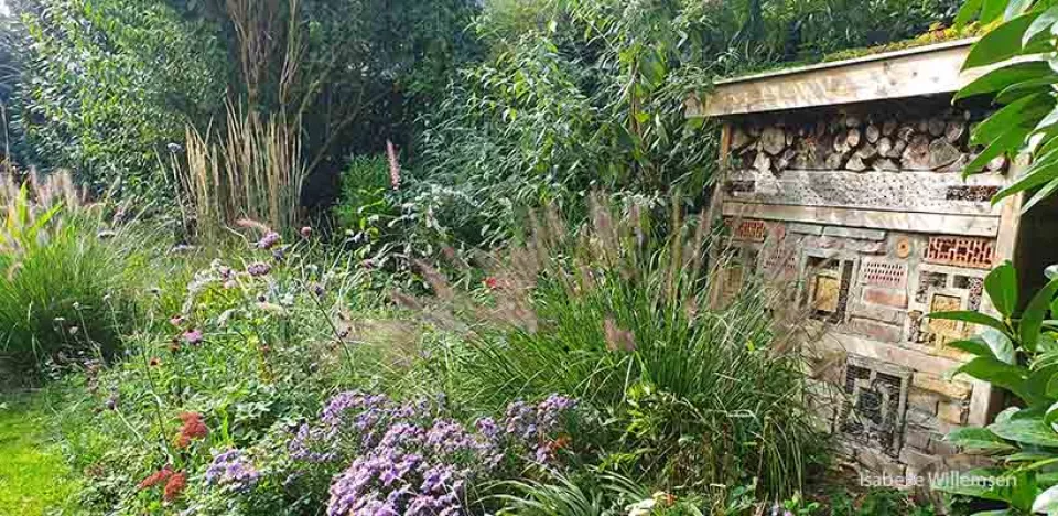 Afbeelding Insectenhotel maken